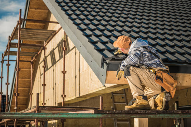 Best Roof Moss and Algae Removal  in Bloomingdale, GA
