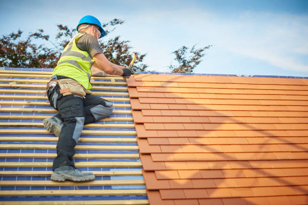 Roof Insulation in Bloomingdale, GA